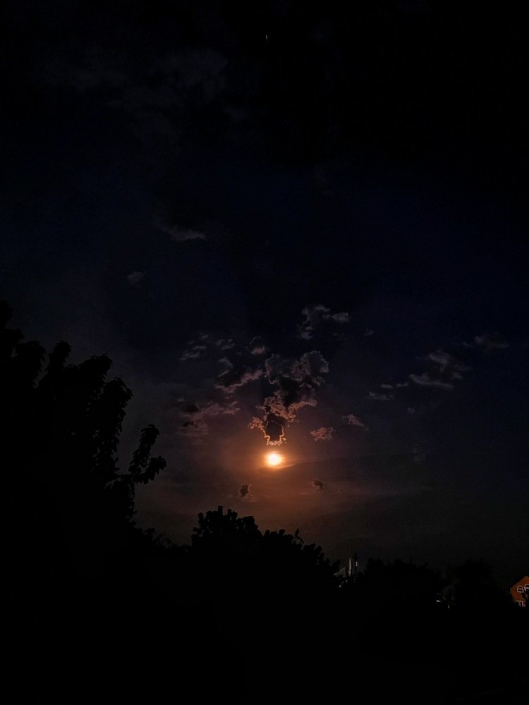 Летняя ночь