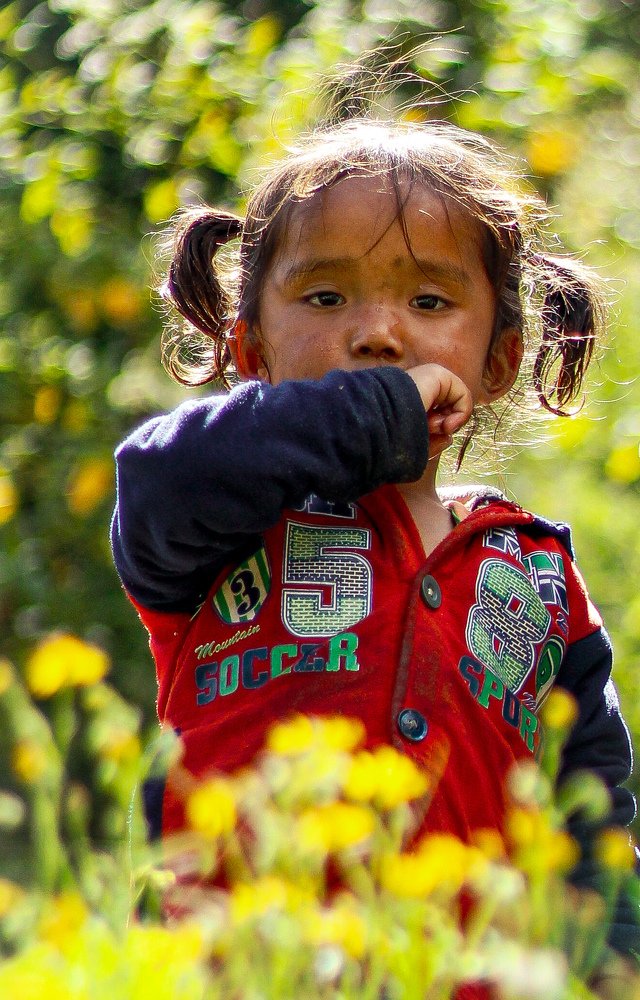 Photograph by Prajjwal Garg