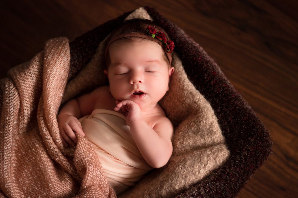 Фотография автора Светлана Климович