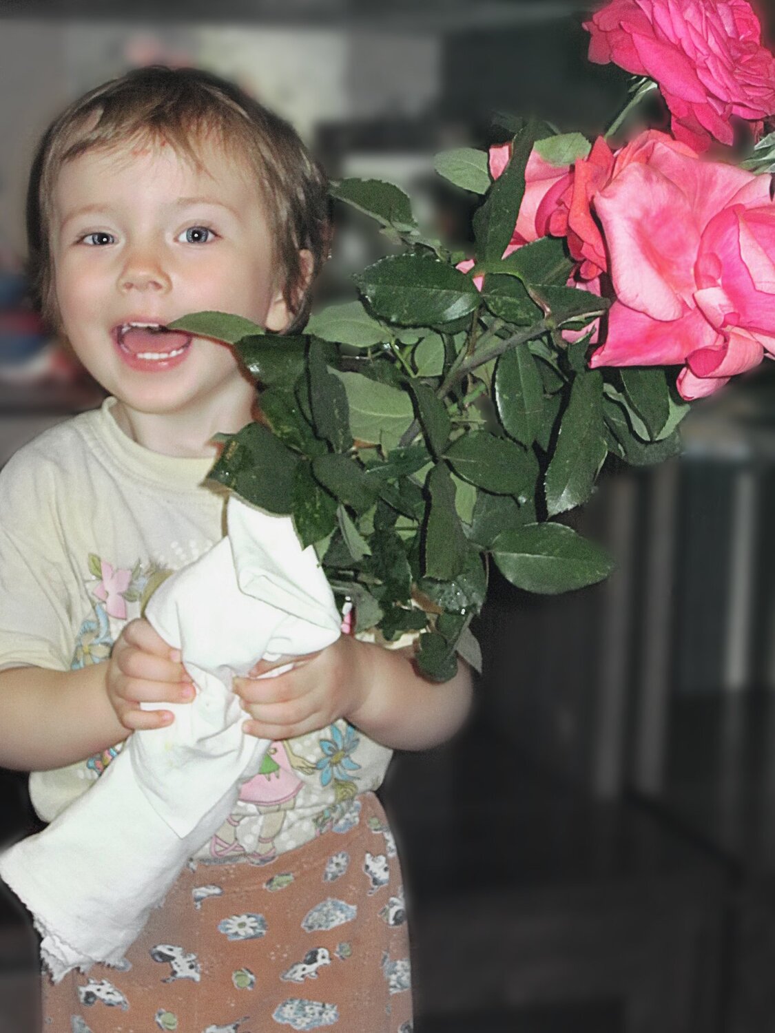 Photo #3946695