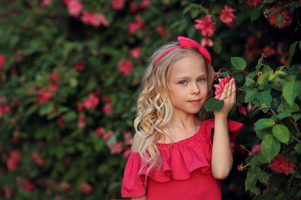 Photograph by Склярова Анастасия