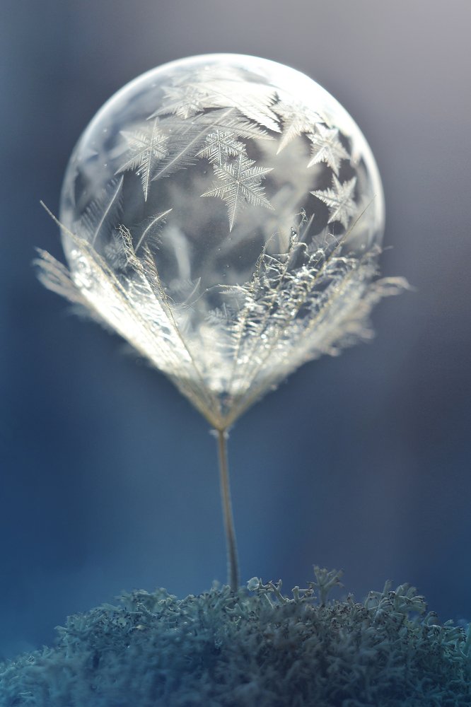 Фонарь эльфов.