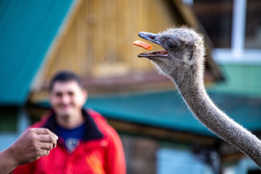 Photograph by Andrey Matveenko