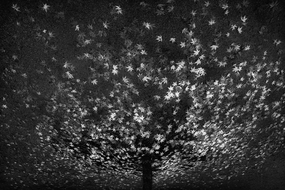 Пространство Ци