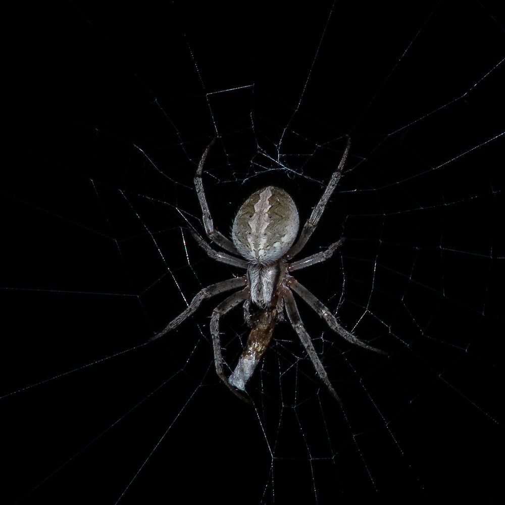 Photograph by Prajjwal Garg