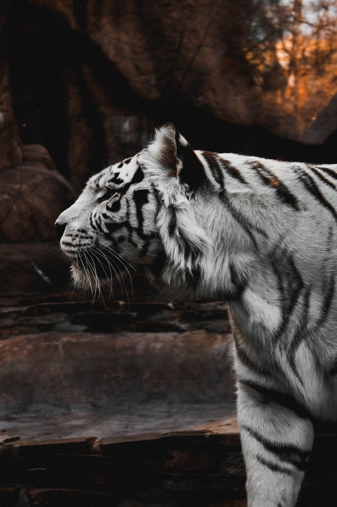 Photograph by Элина Данелия