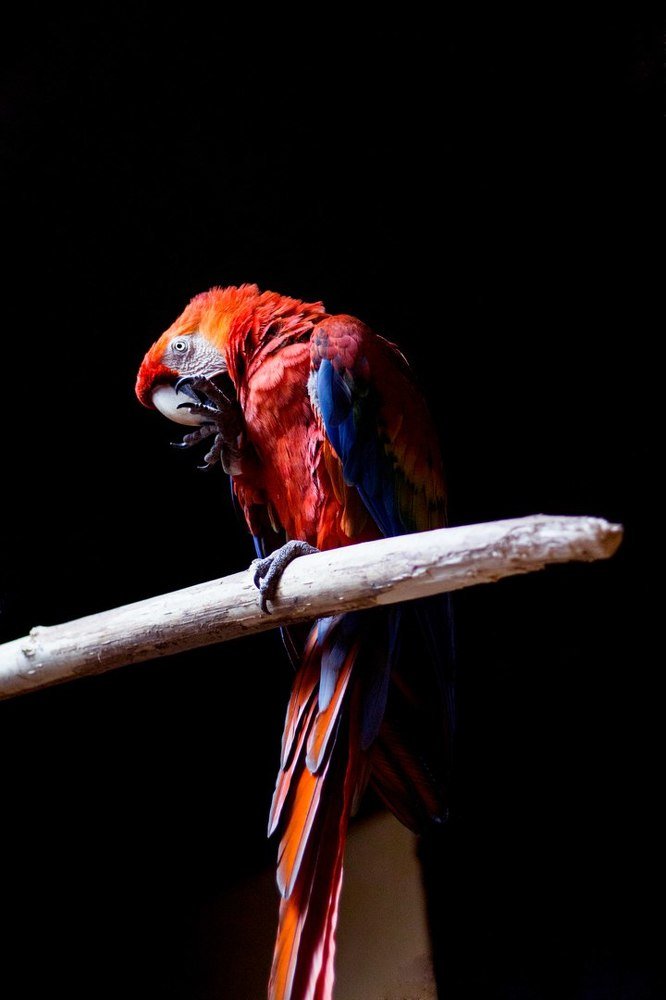 Photograph by Элина Данелия