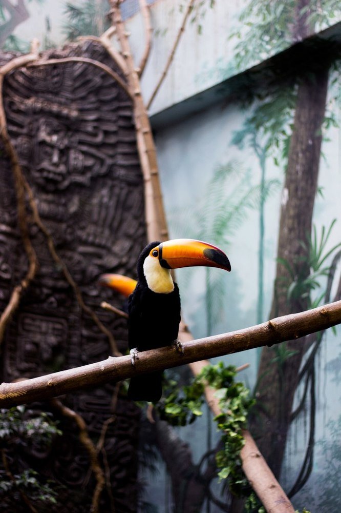 Photograph by Элина Данелия