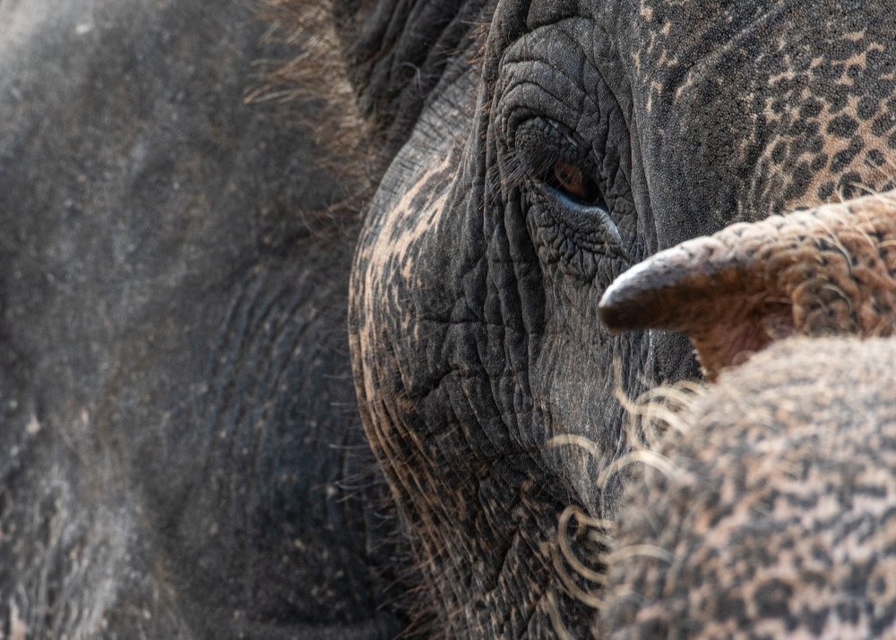 Photograph by Dhaval Vanol