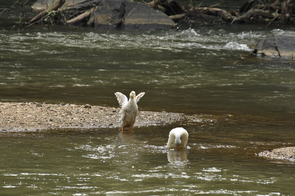 Photograph by Dhaval Vanol