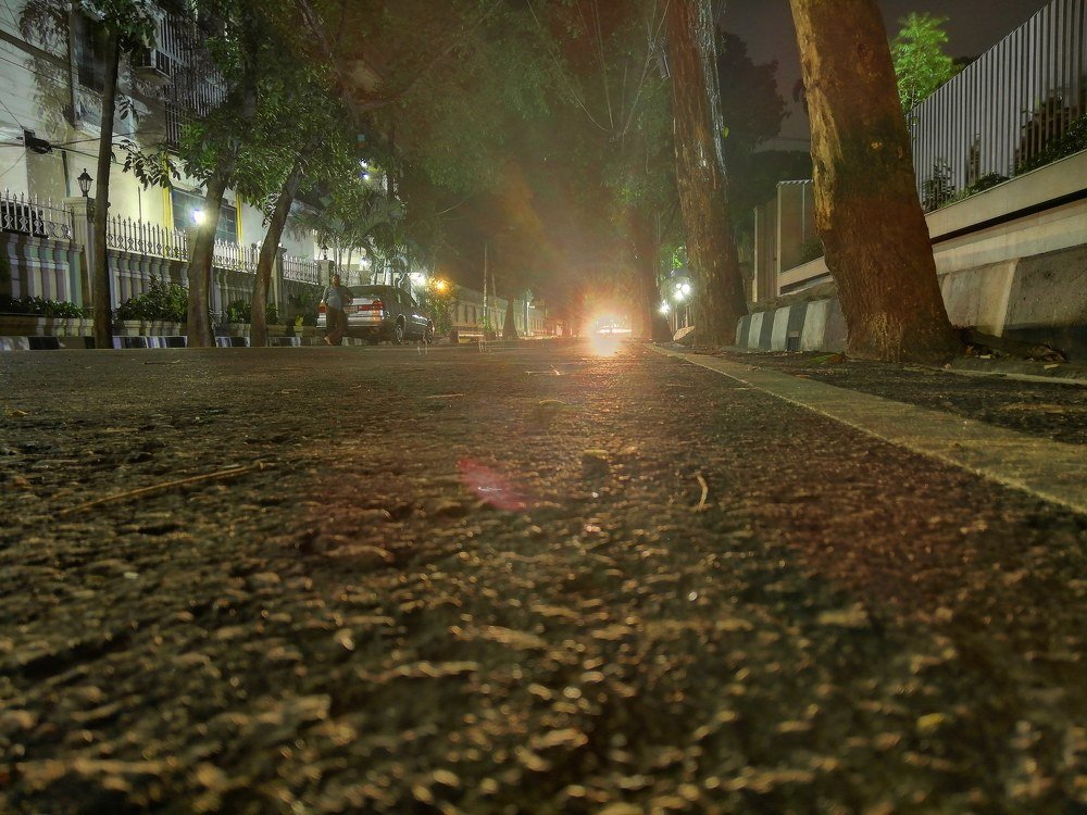 Photograph by Md Tohidur Rahman Muktadir