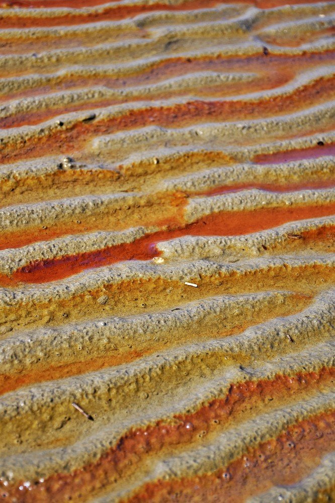 Photograph by Ija Reiman