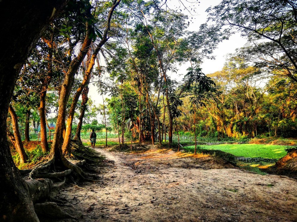 Photograph by Md Tohidur Rahman Muktadir