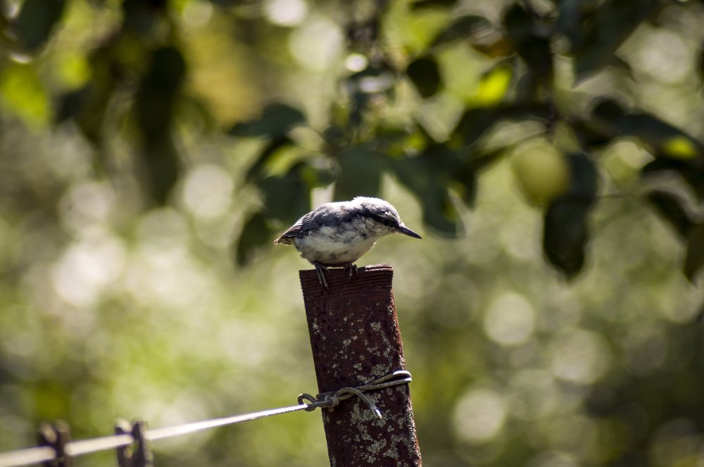 Photograph by Константин