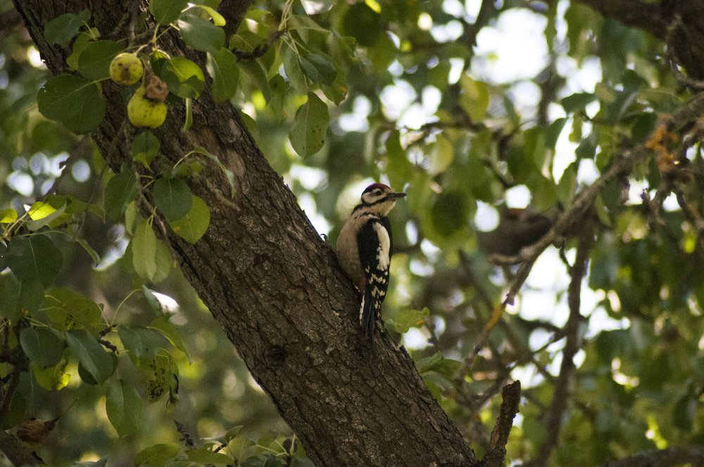 Photograph by Константин