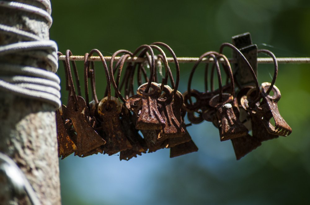 Photograph by Константин