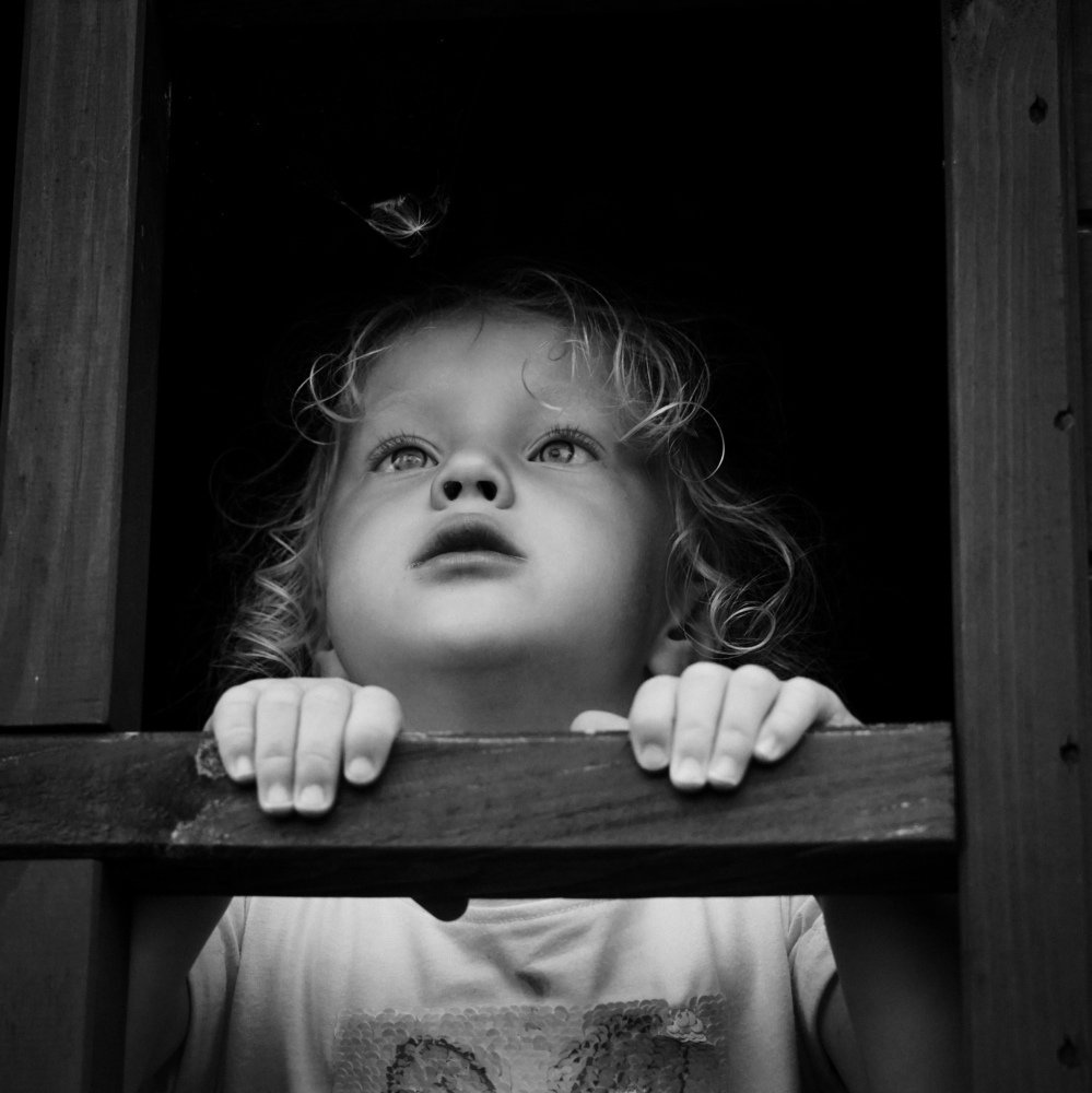 Dandelion blowing seed