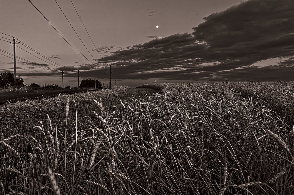 Photograph by Евгений Козлов