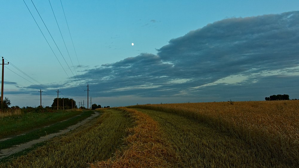 Photograph by Евгений Козлов
