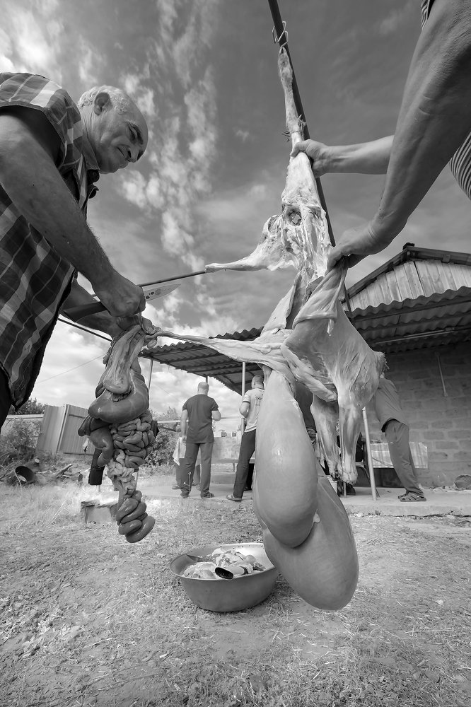 Photograph by Наталия Звиададзе