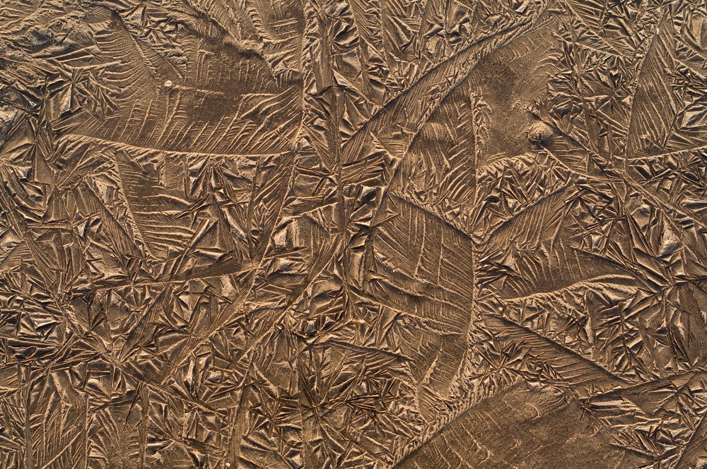 Photograph by Сергей Бахаев