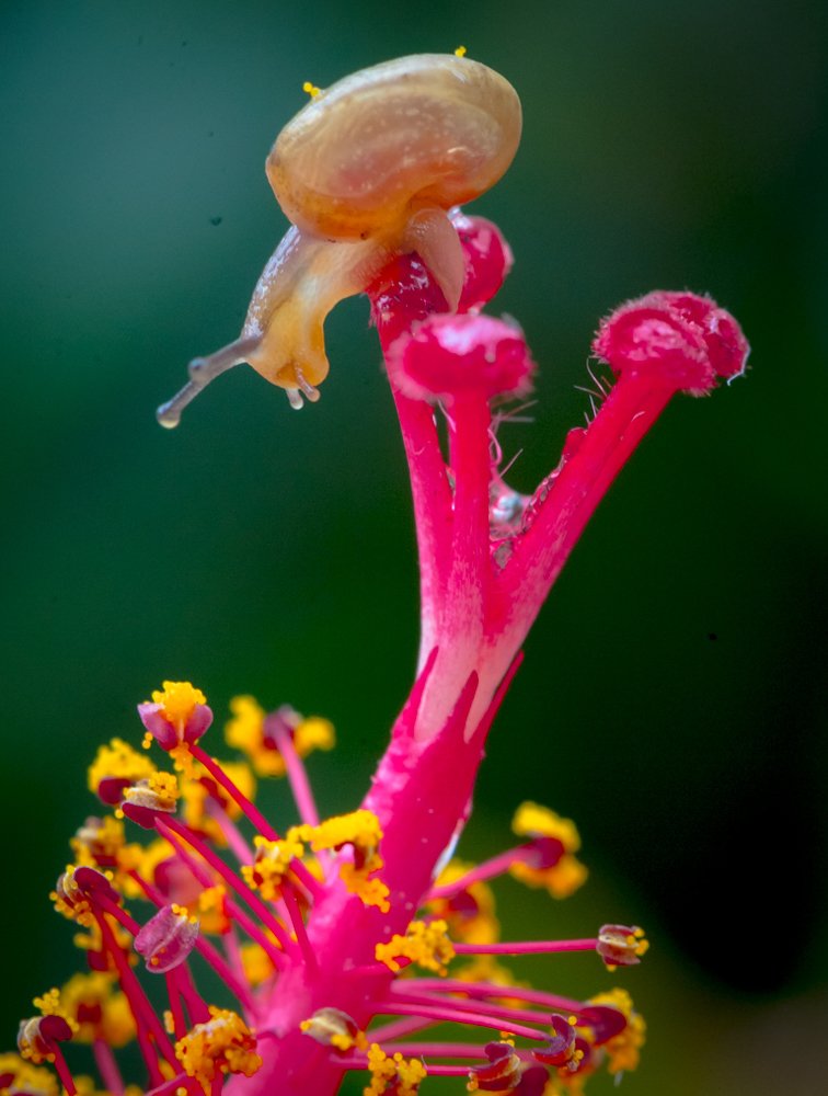 Фотография автора Maurice Leung