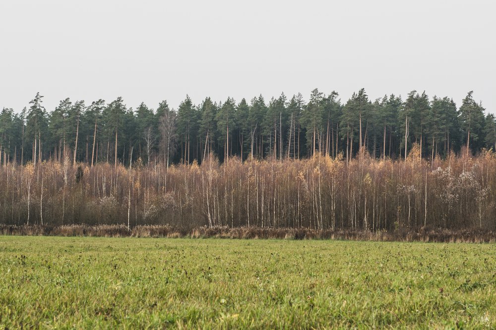 Photograph by Артем Полинин