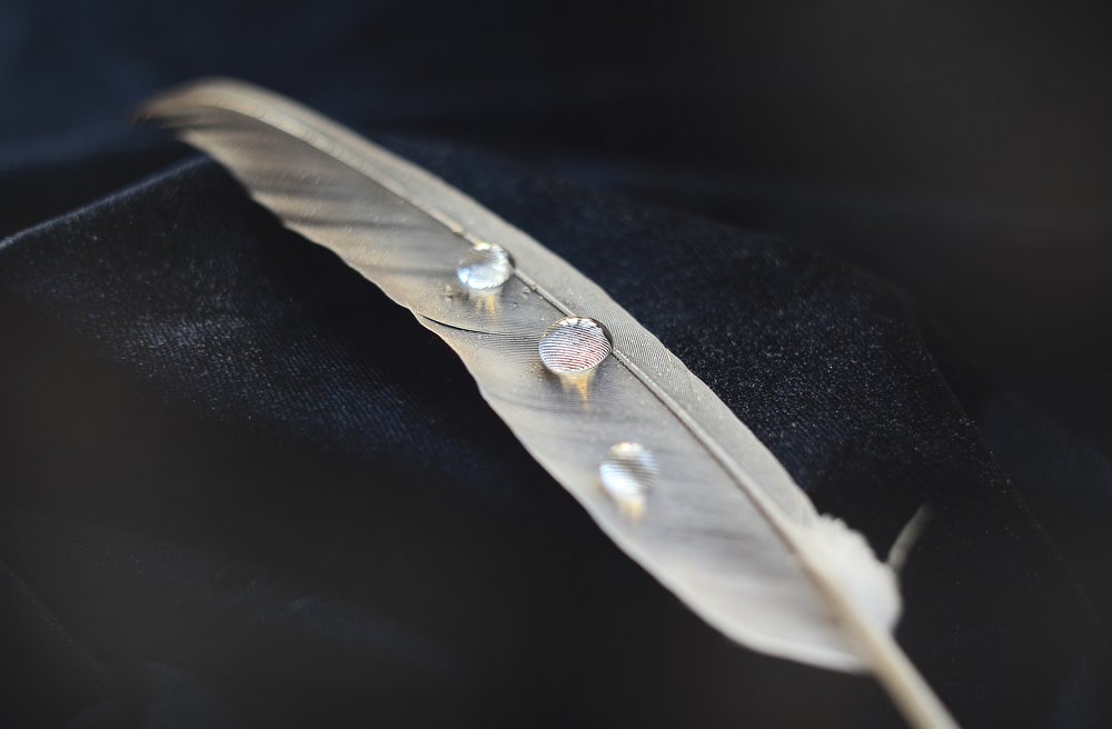 Photograph by Аликина Татьяна