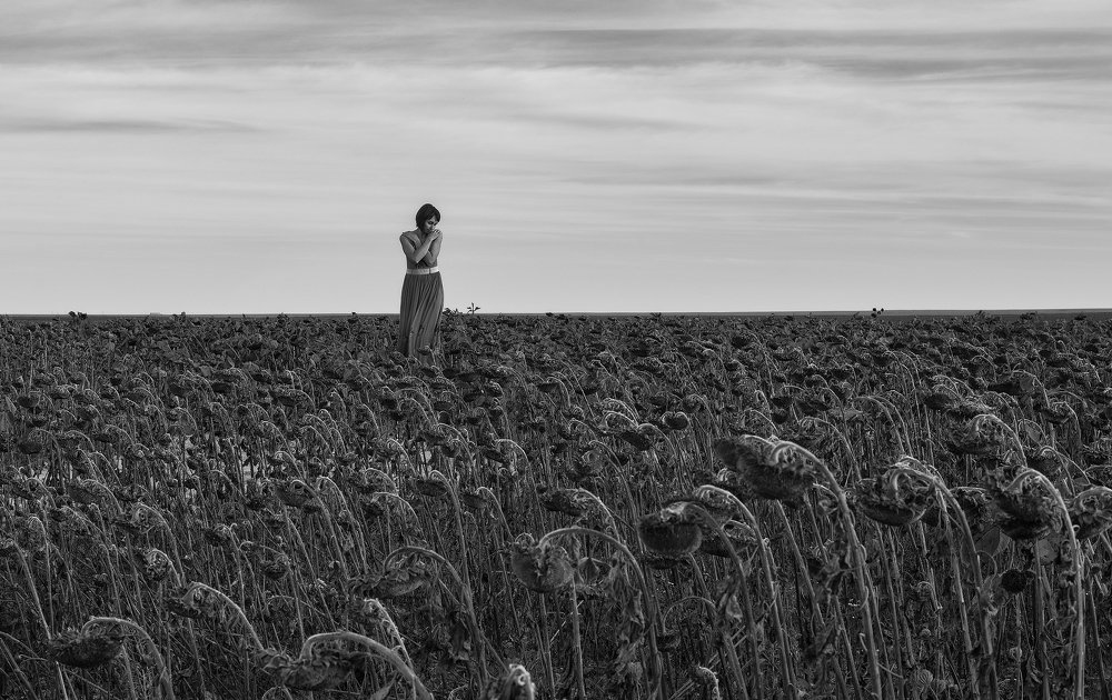 Photograph by Aeromast