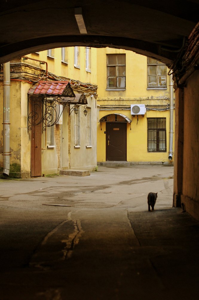 Photograph by Татьяна Лисянская