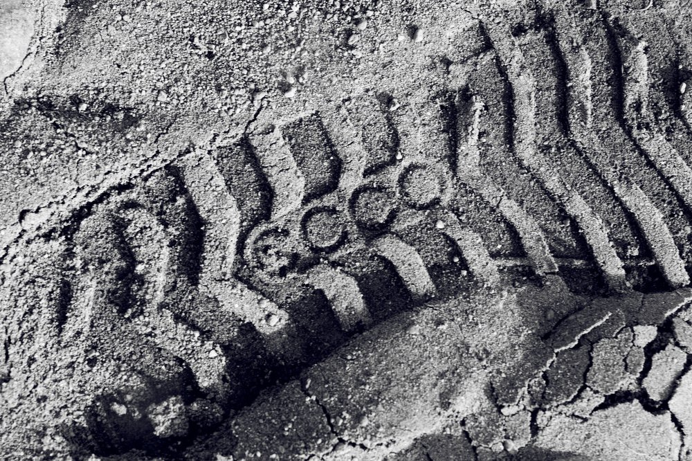 Photograph by Светлана Сафина