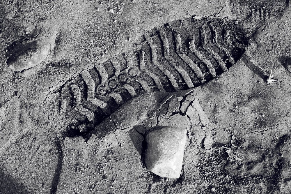 Photograph by Светлана Сафина