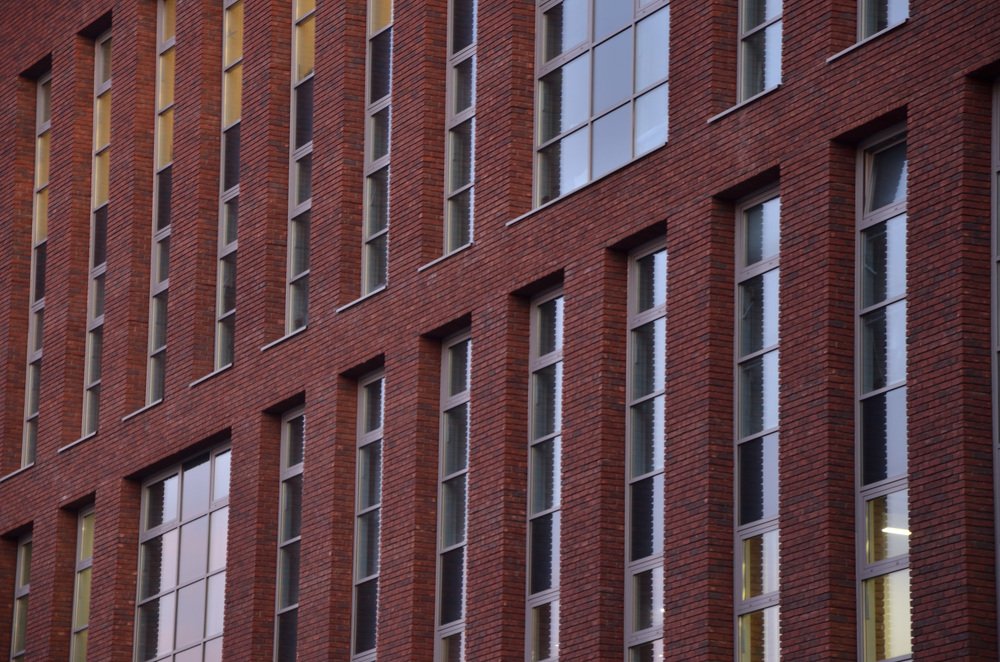 Фотография автора Елена