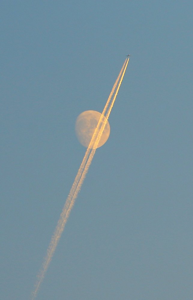 Photograph by Александр Шаварёв