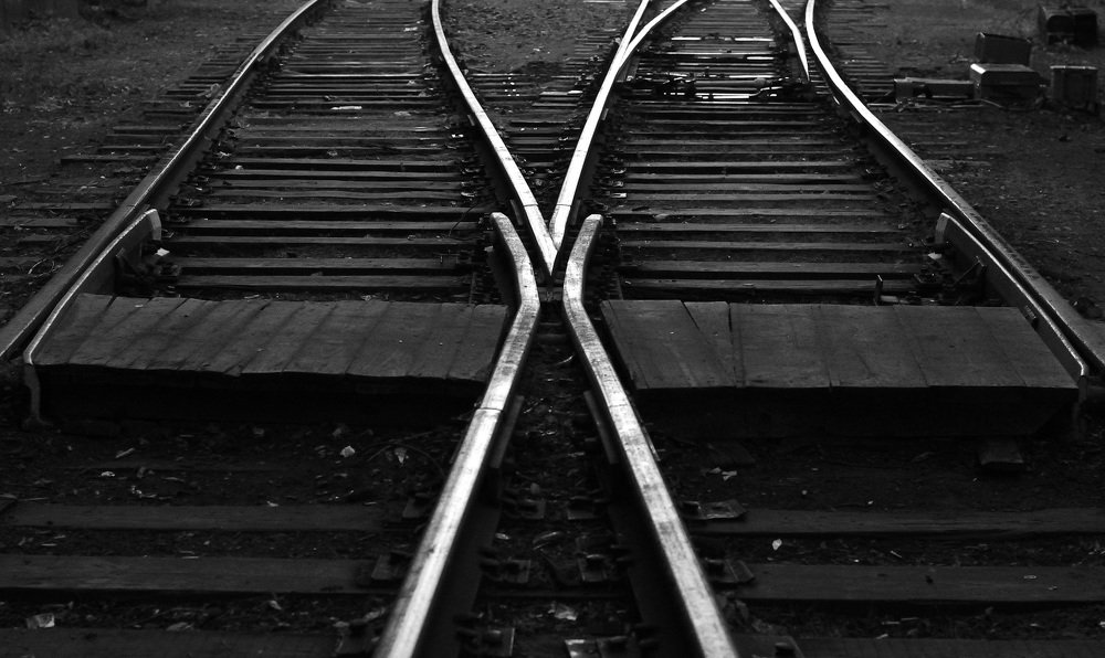 Фотография автора Елена