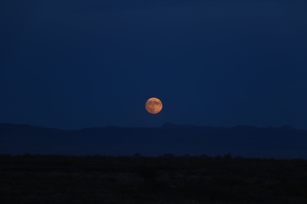 Photograph by Александр Шаварёв