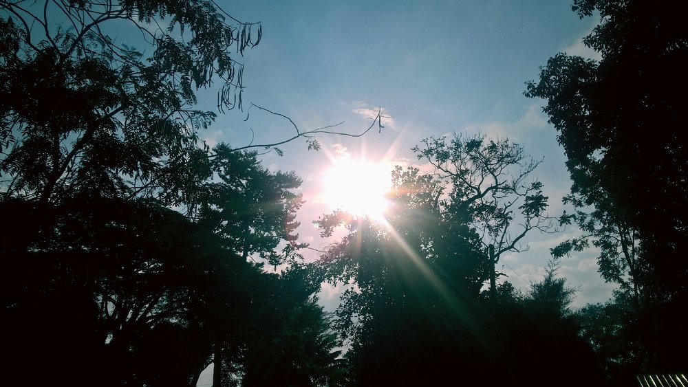 Фотография автора serubogo vicentes