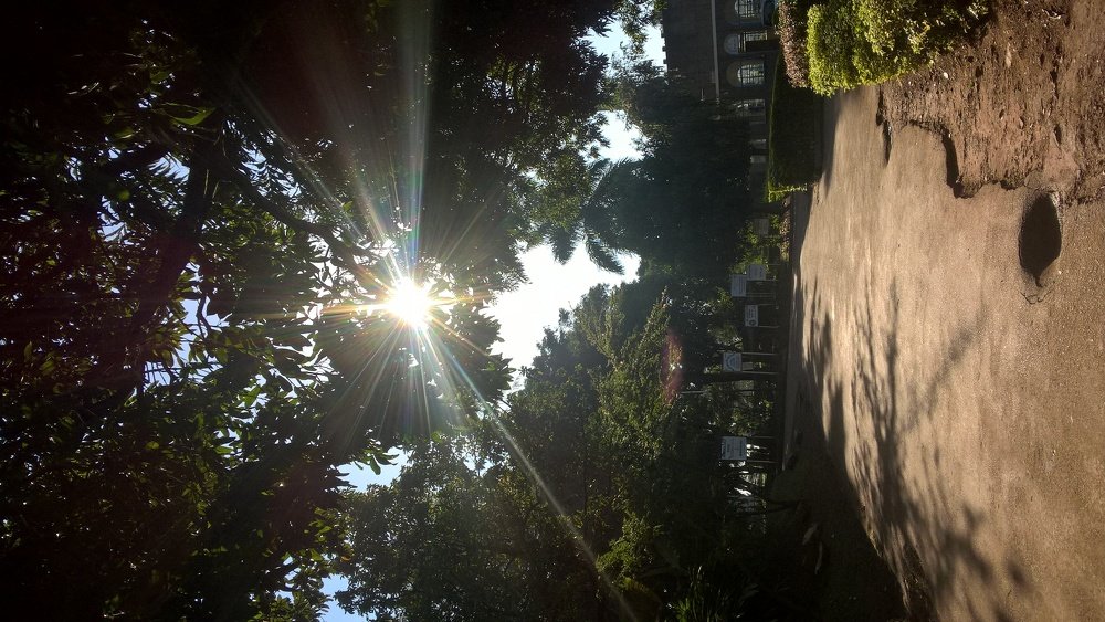 Фотография автора serubogo vicentes