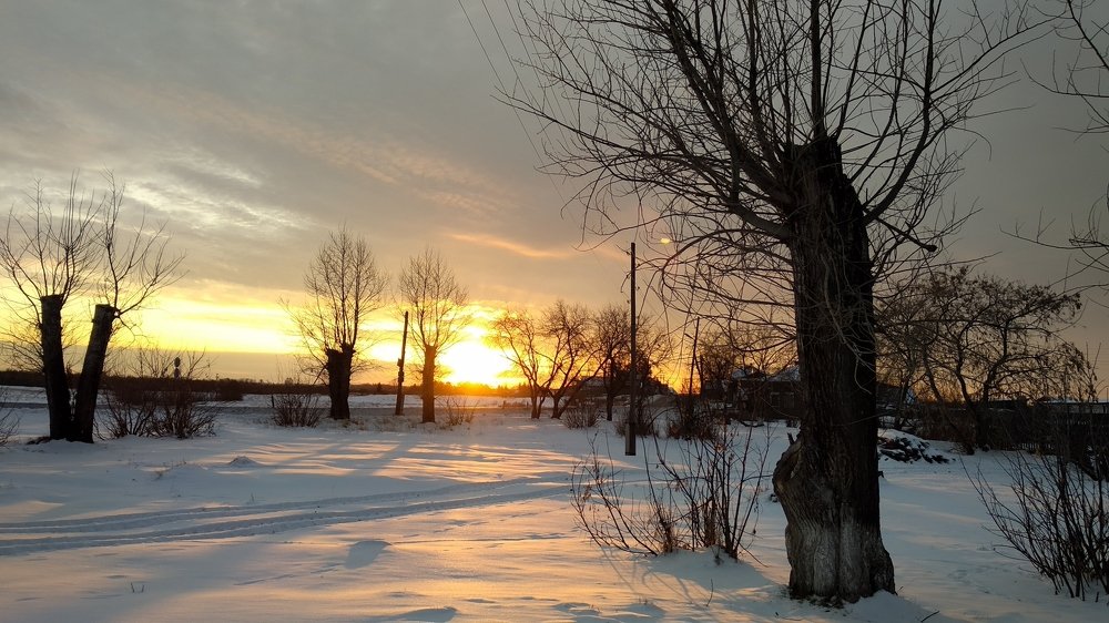 Photo #3947857