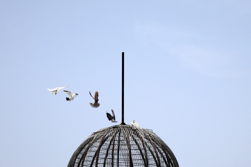 Photograph by Sahar Ghadir