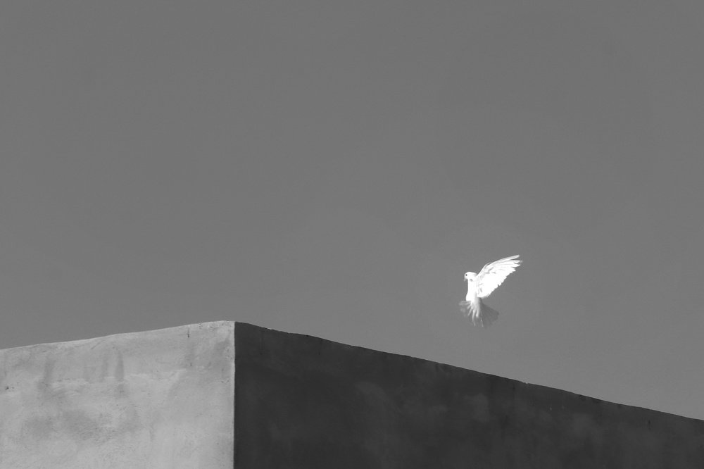 Photograph by Sahar Ghadir