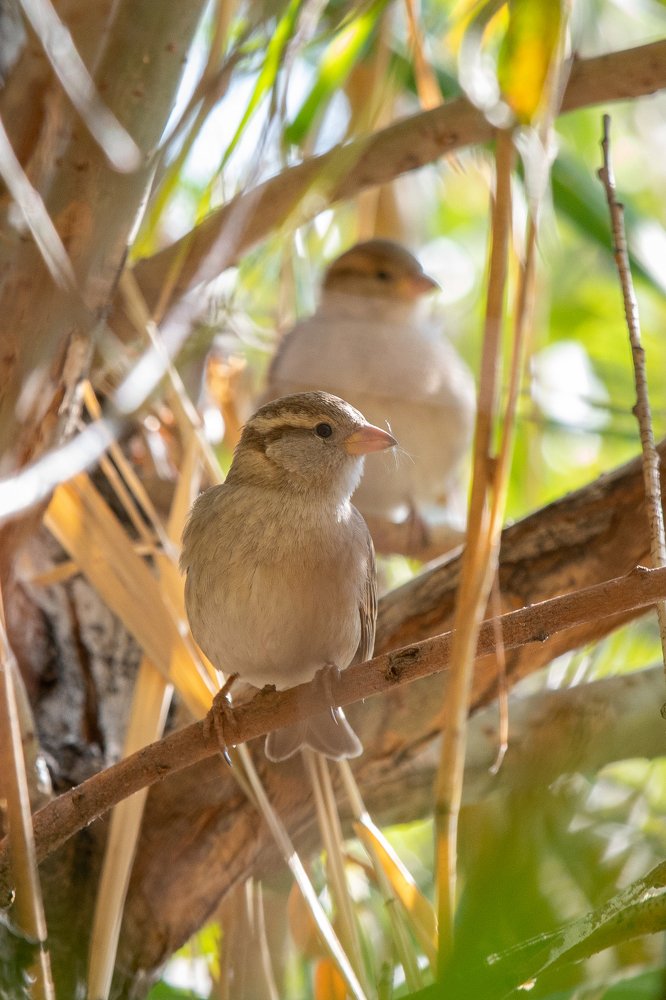 Photograph by Mohamad Khademi