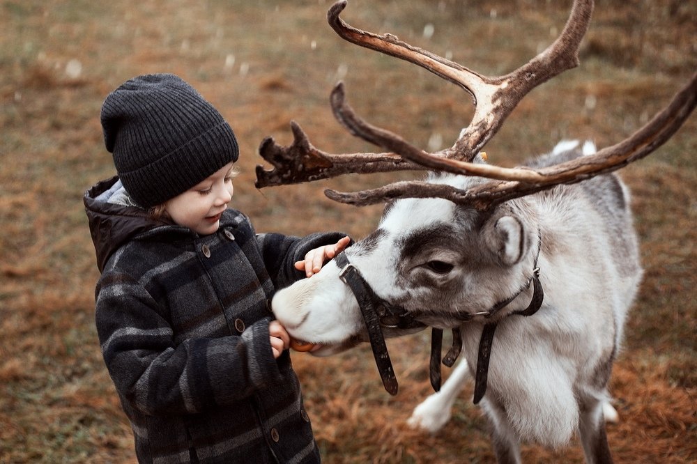 Photograph by Дарья Патук