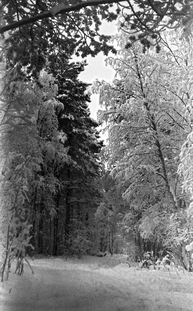 Photograph by Виталий Горюнов