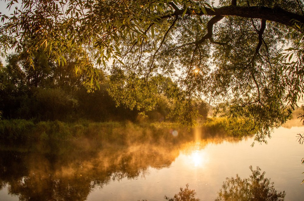 Photograph by Евгений Новицкий