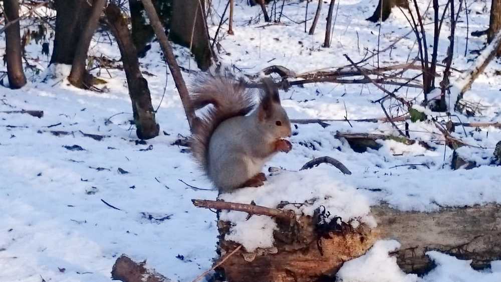 Photograph by Вера Боркунова