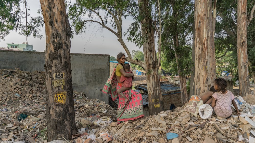 Фотография автора savitri Rawat