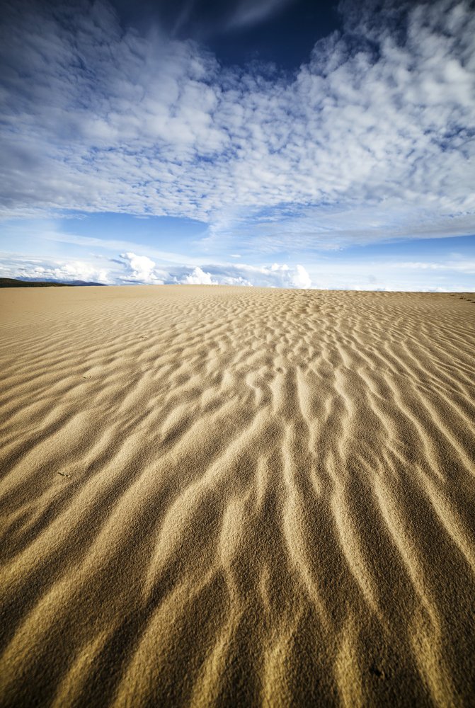 Фотография автора Лариса Кисурина