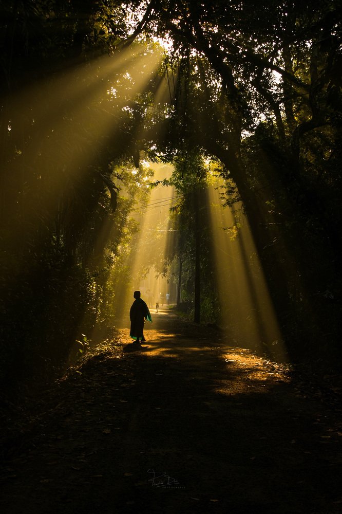 Photograph by DAS PRABIR