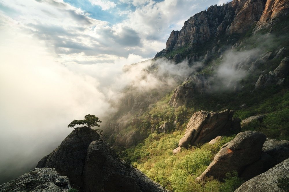 Весенний свет на Демерджи